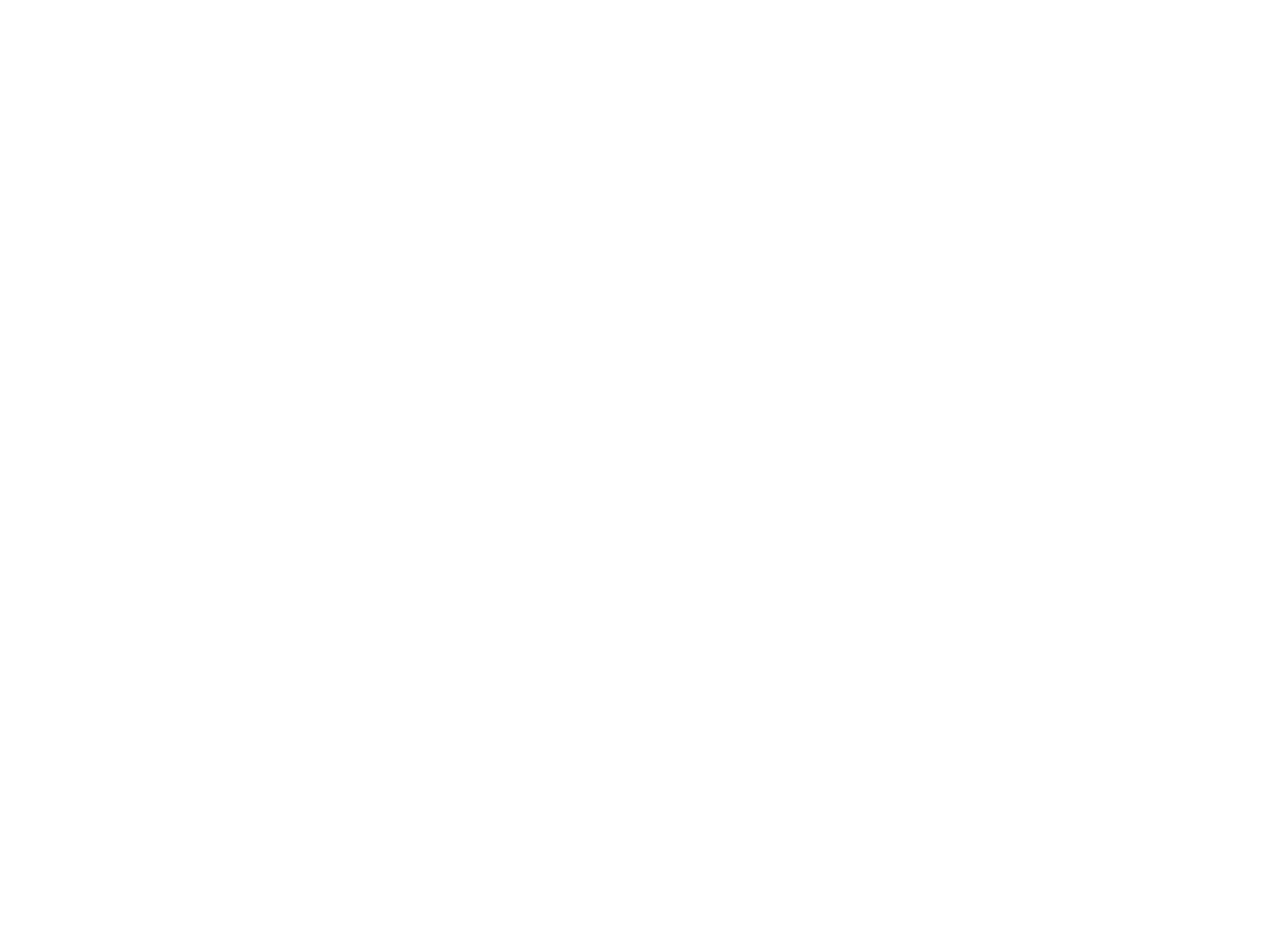 Mono Araña Estudio